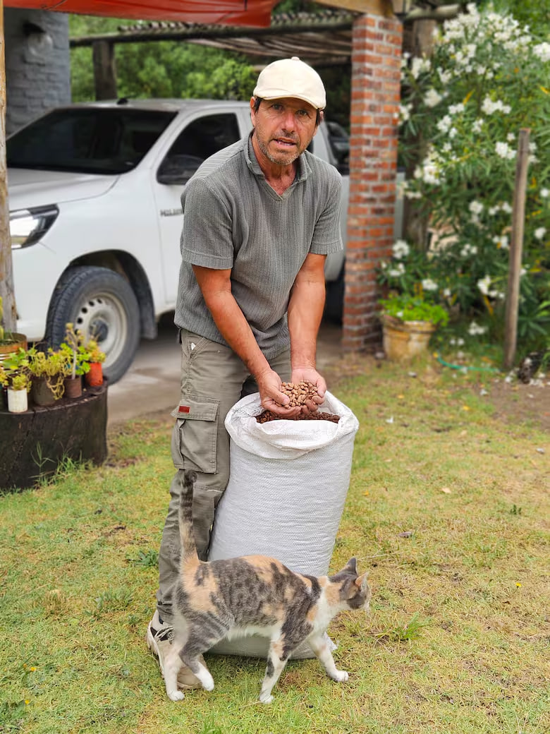 Qué es el piñón y por qué crece su producción en la Costa&nbsp;Atlántica